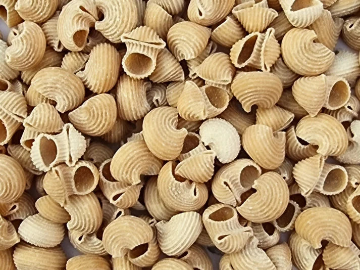 Pasta | Little Maccheroni &