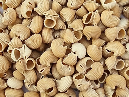 Pasta | Little Maccheroni &