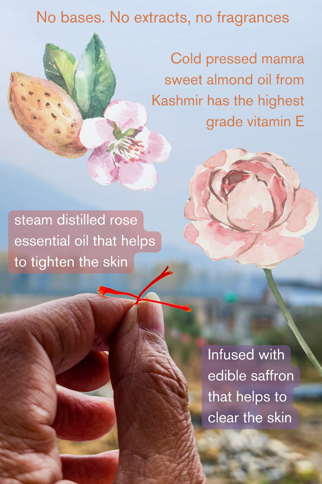 Serum Oil | Mamra Almond Saffron Serum Oil (Lotus) - The Nature Mill - 30ml