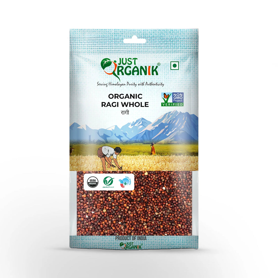 Finger Millet | (Ragi) - Whole - USDA Organic - Just Organik - 500gm