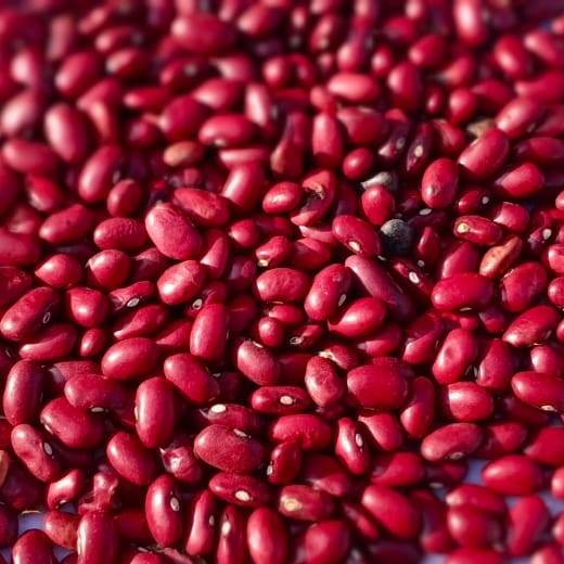 Rajma | Red Rajma  (Red Kidney Beans) - USDA Organic - Himalaya 2 Home - 500gm