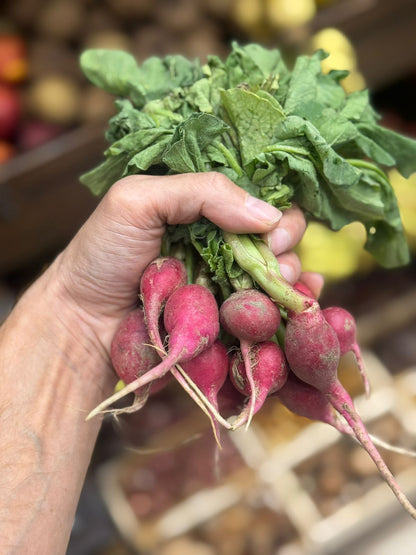 Red Radish