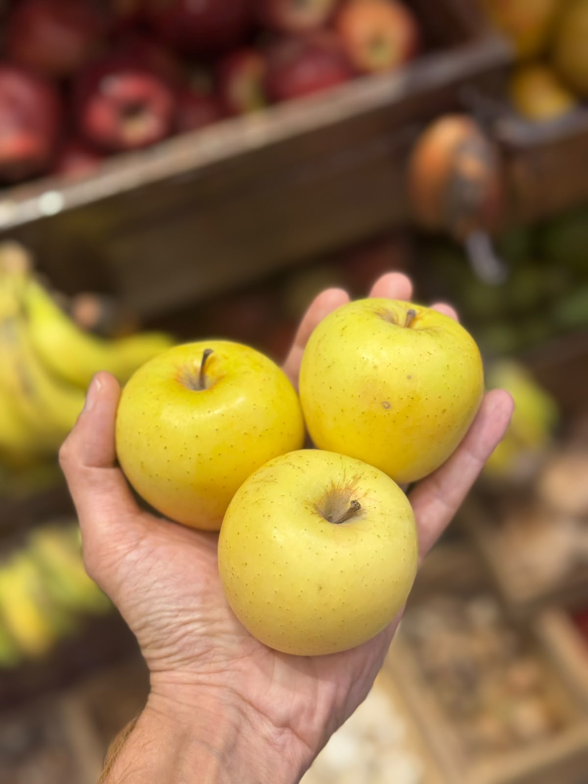 Apples | Golden Apple (Chopal, Himachal Pradesh) - Certified Organic
