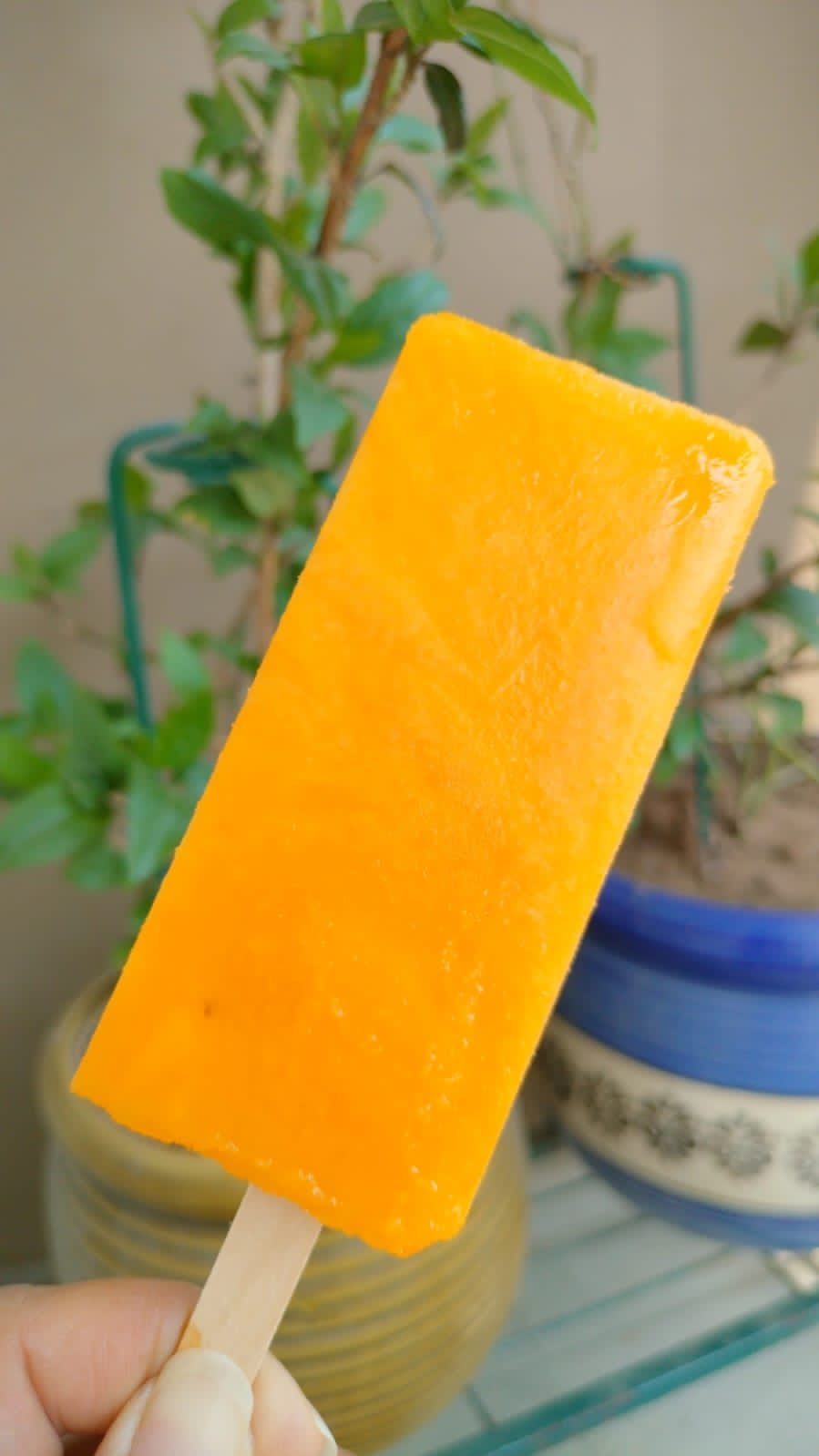 Ice Cream | Mango Orange Popsicle Ice Cream- Fruit Ice Cream- 100% Natural Mango Orange  &amp; Watermelon - Refreshing Summer Fruit Blend- No Artificial Colors, No Synthetic Flavors - Nature&