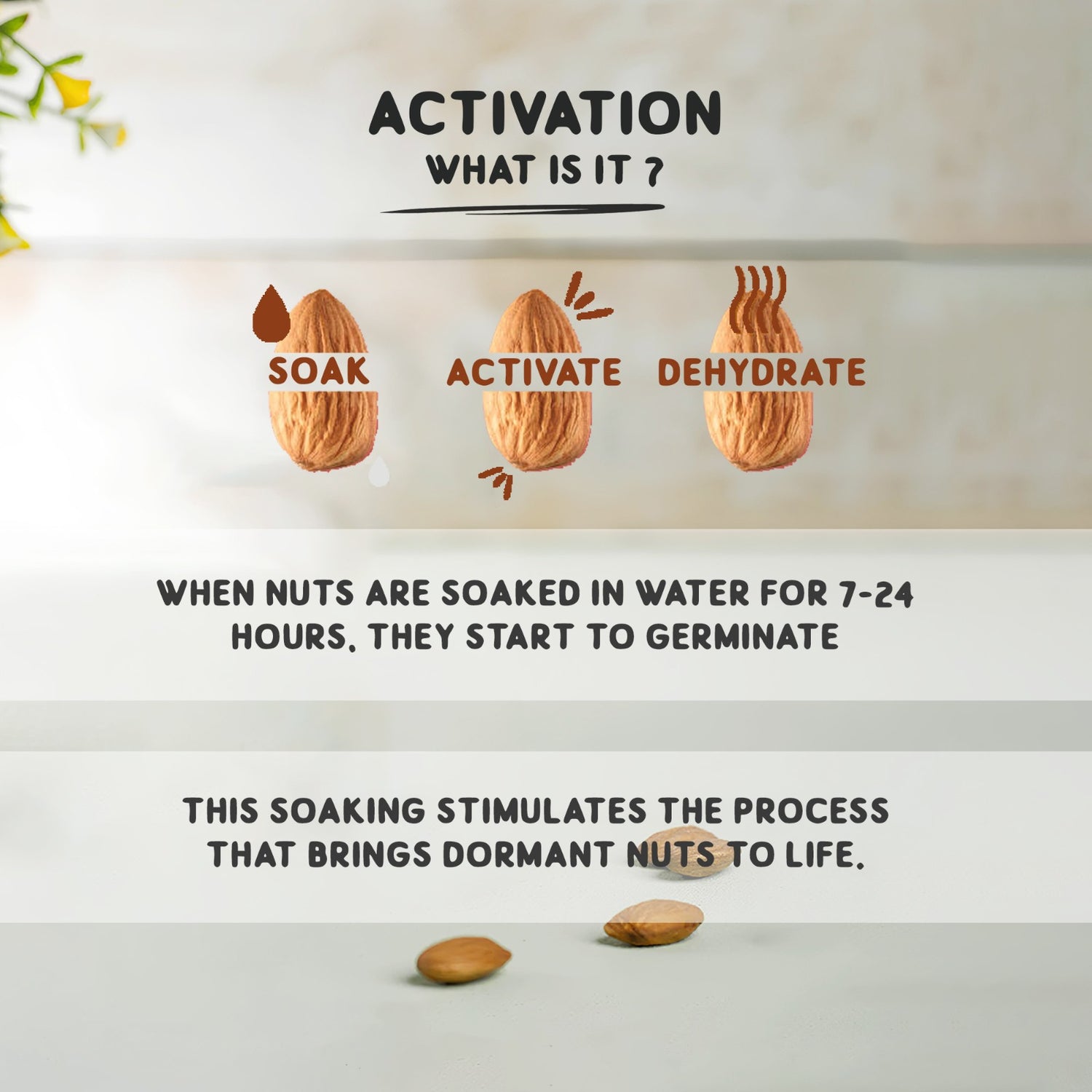 Almond Butter | Activated - Organic &amp; Natural - Vegan &amp; Keto Friendly - Dhatu Organic - 175gm
