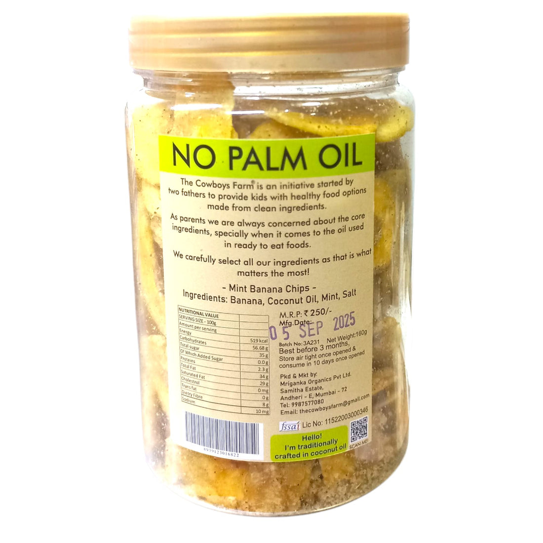 Banana Chips | (Mint/Phudhina) - 100% Plant Based - No Onion, No Garlic &amp; No Added Preservatives - The Cow Boys Farm – 160gm