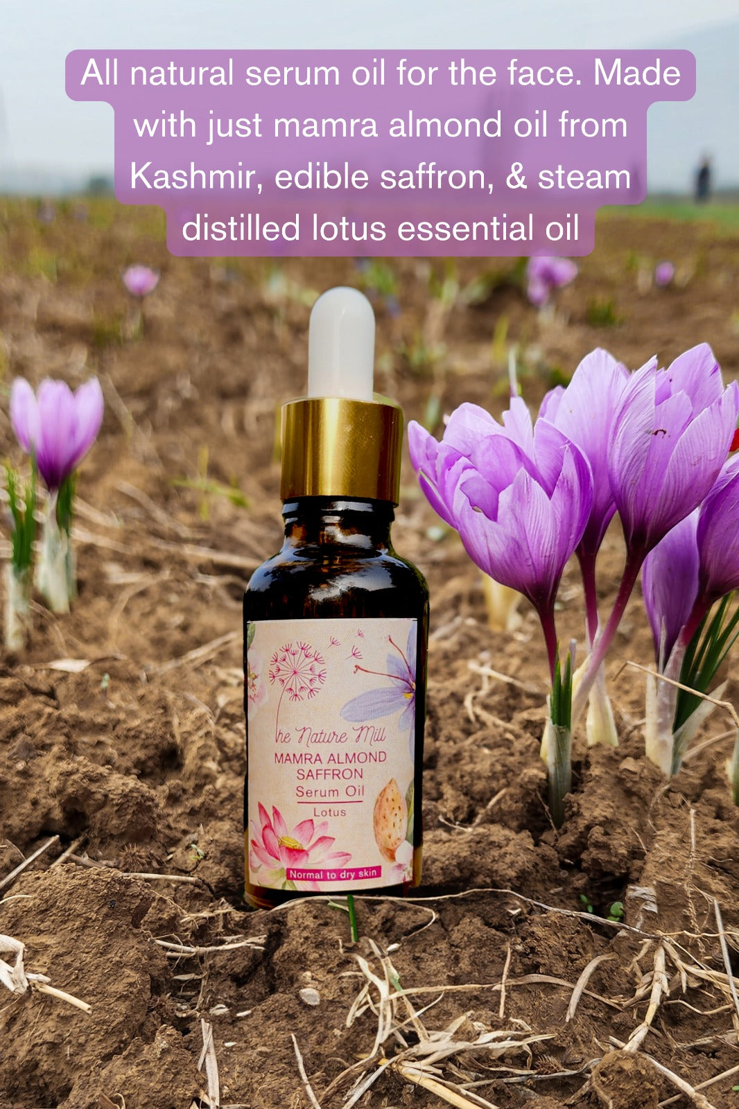 Serum Oil | Mamra Almond Saffron Serum Oil (Rose) - Normal To Oily Skin - The Nature Mill – 30ml