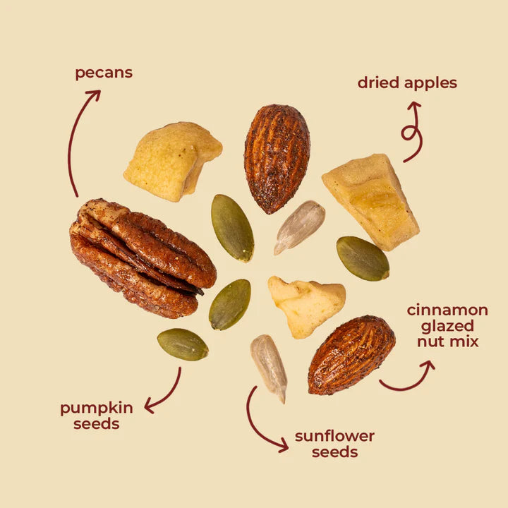 Nut Mix | Maple Cinnamon Glazed Nut Mix -Pecans, Almonds, Dried Apples, Sunflower &amp; Pumpkin- All Natural, Plant Based – Vegan, Gluten Free,- Non GMO &amp; No Added Artificial Flavor – natch – 120gm