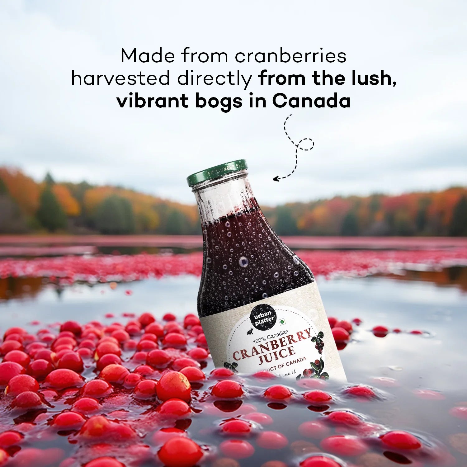 Cranberry Juice | Canadian - Natural - Rich Source Of Vitamin C - No Added Preservatives, Color &amp; No Added Sugar - Urban Platter - 1000ml