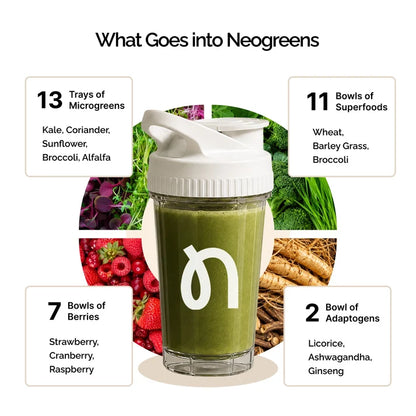 Protein Powder | Daily Greens-Gut Health -Gluten Free - Superfood Nutrition– Vitamins, Minerals &amp;amp; Plant-Microgreens Blend, Superfruits Blend, Adaptogens – No Preservatives – Neogreen – 300gm