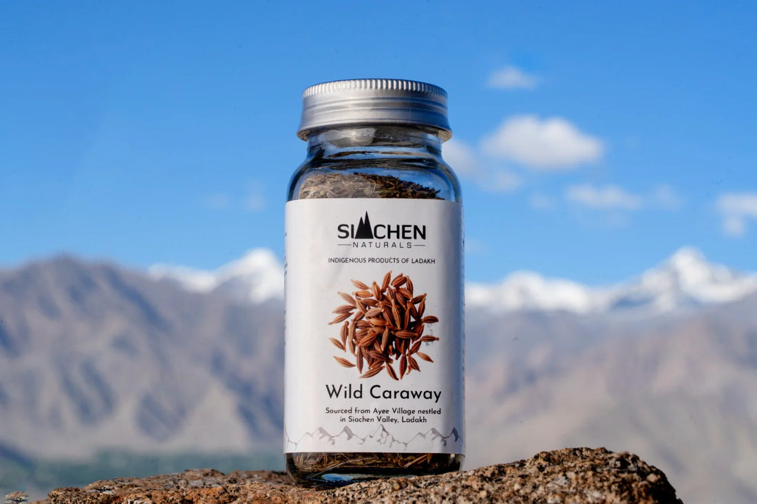 Wild Caraway -100% Natural, Hand-Collected, Sun-Dried  - No Added Preservatives - Siachen Naturals - 40gm