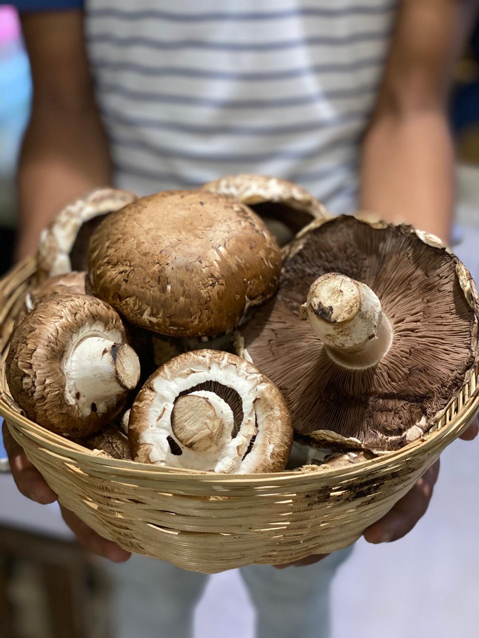 Portobello Mushrooms – Nature’s Soul