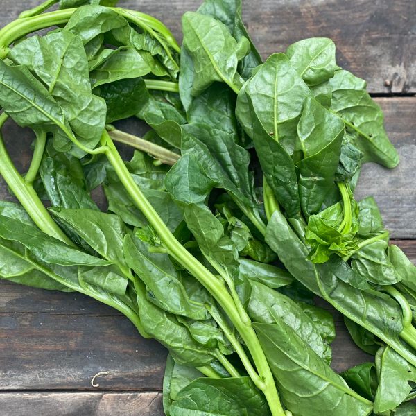 Poi Saag (Malabar Spinach)