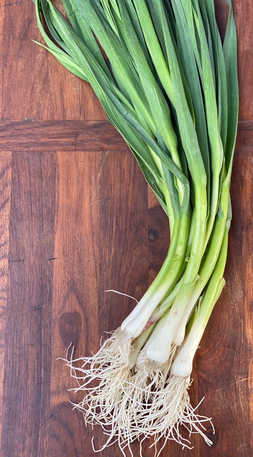 Green Garlic – 250gm – Nature's Soul