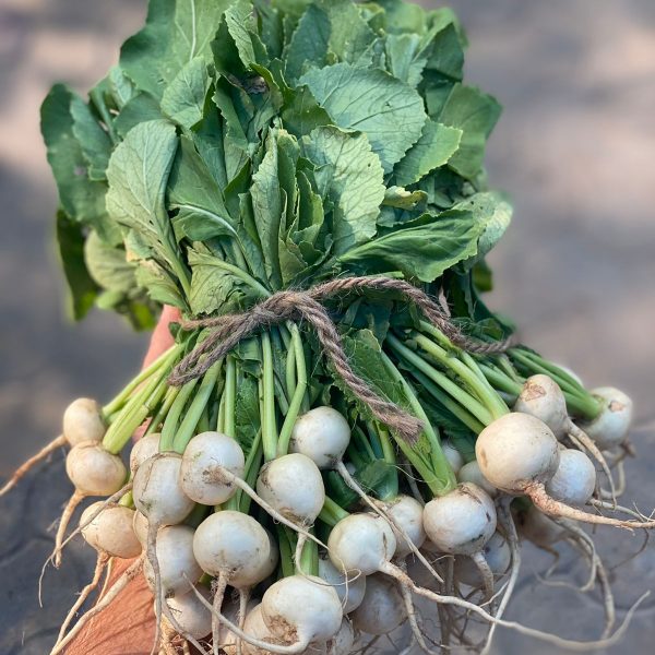 Turnips Baby White - 250gm