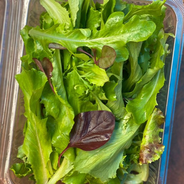 Winter Salad Mix (Delhi) - 1 Box