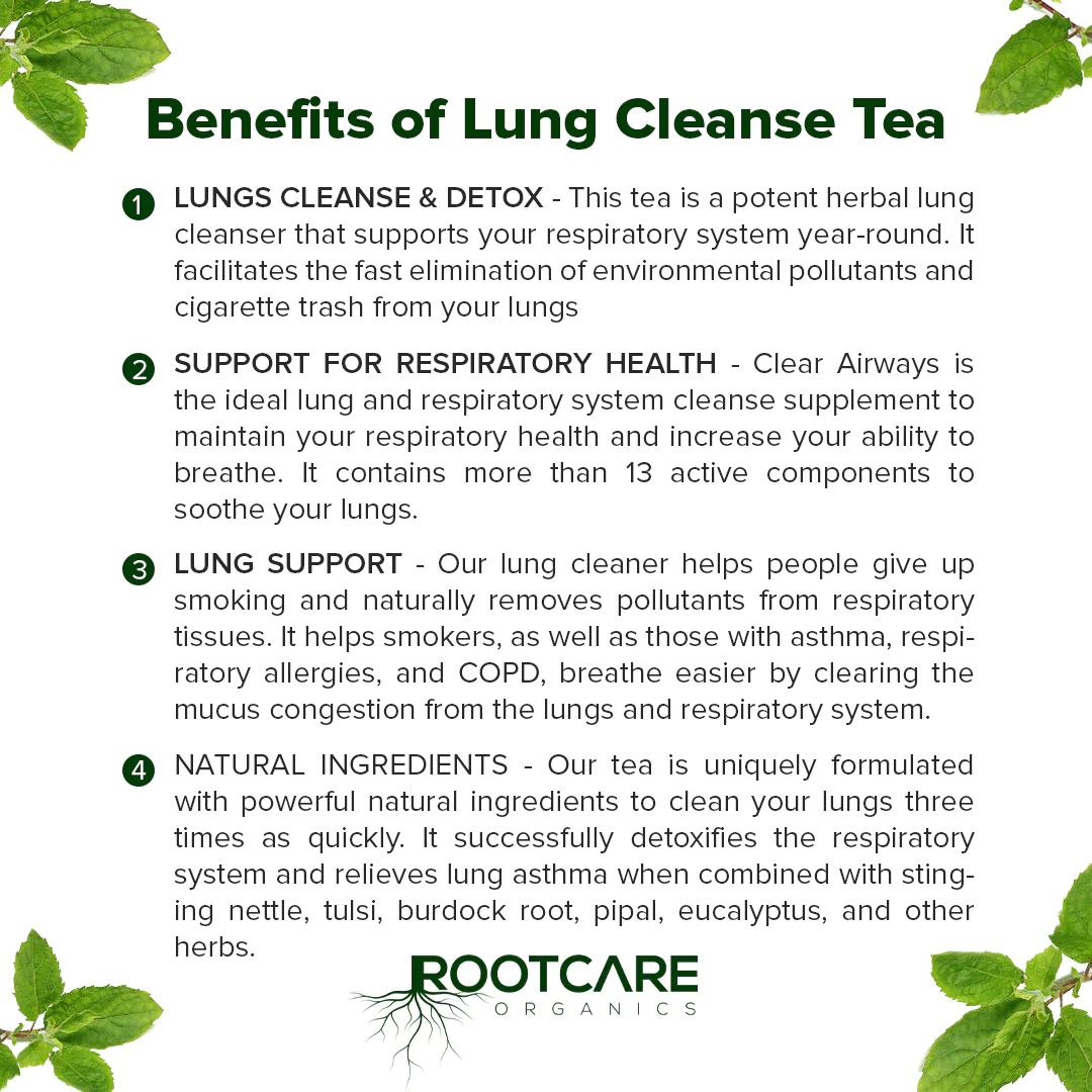 Tea  Lung Cleanse – Root (With The Goodness Of Tulsi, Eucalyptus, Ginger  And 11 other Herbs & Spices) – Plant Based Superfood – Improves Respiratory  System – Removes Tars & Mucus